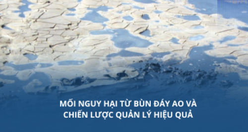 Mối nguy hại từ bùn đáy ao và chiến lược quản lý hiệu quả